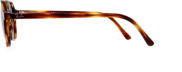 Ray-Ban - Rb 2194 - Güneş Gözlüğü - 954/62