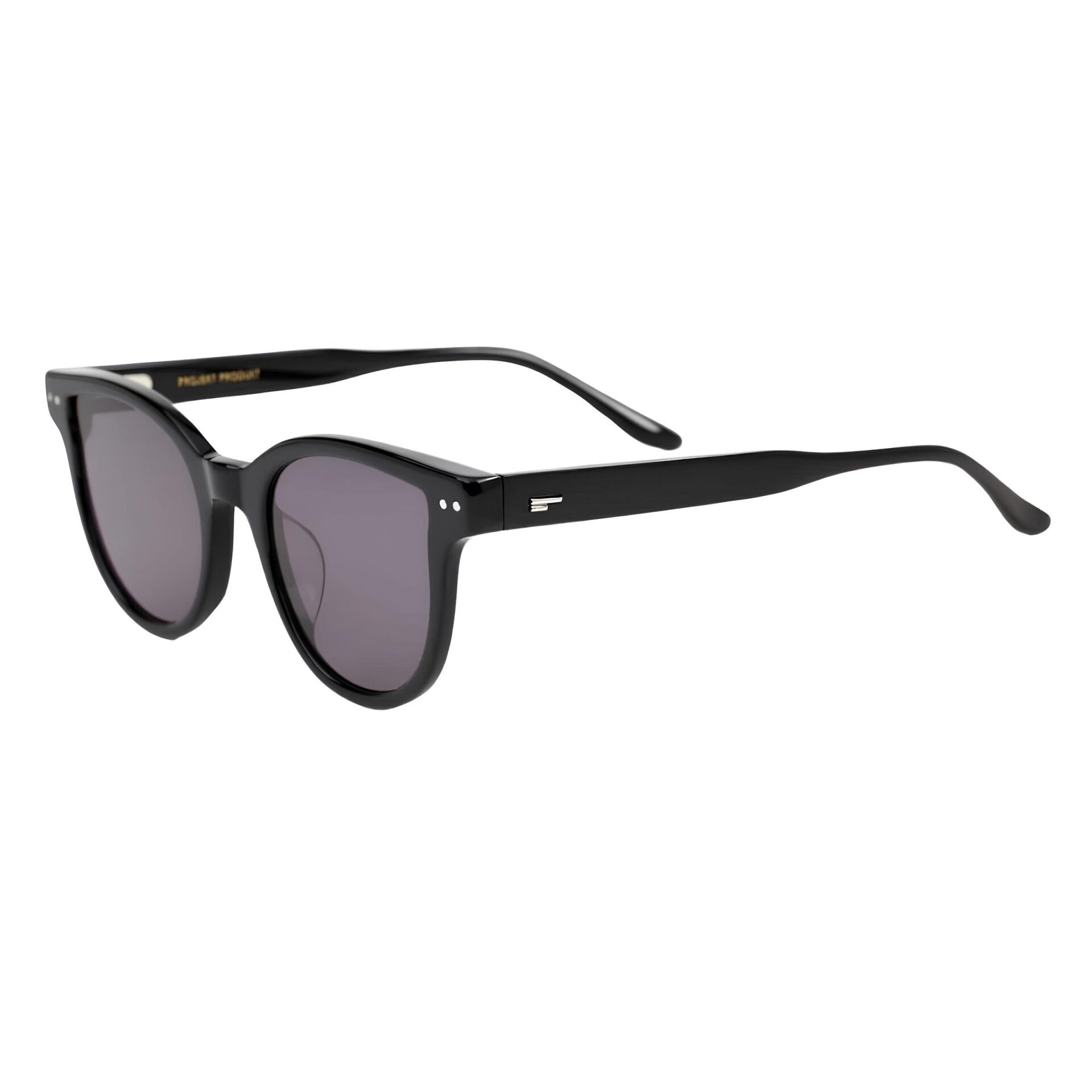 Projekt Produkt Fs9 Siyah Yuvarlak Unisex Güneş Gözlüğü