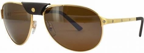 Cartier - Ct0074S - Güneş Gözlüğü - 003